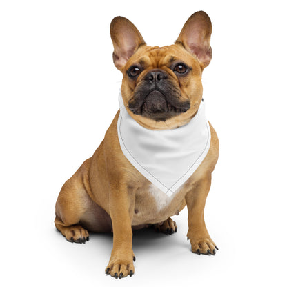 pet bandana collar near me